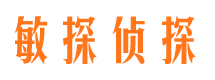 沙河侦探公司